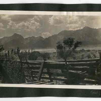 Print, Photographic