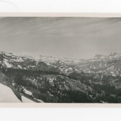 Print, Photographic