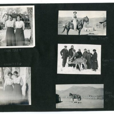 Print, Photographic