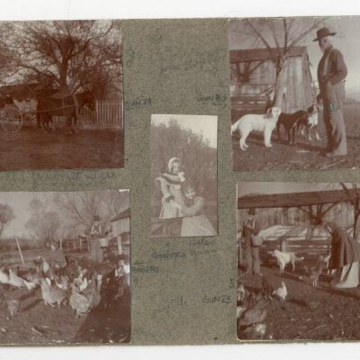 Print, Photographic