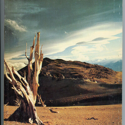 High Mountains and Deep Valleys: The Gold Bonanza Days