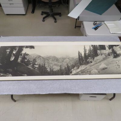 Print, Photographic