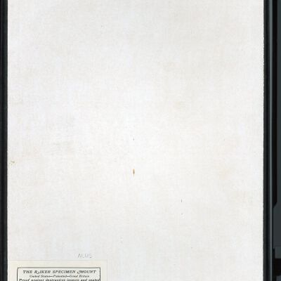 Resolution: 100 dpi
