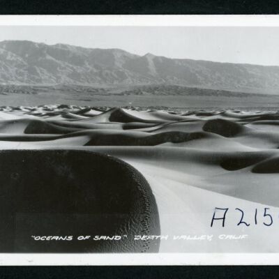Print, Photographic