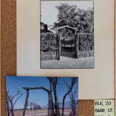 Panel, Display