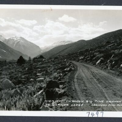 Print, Photographic
