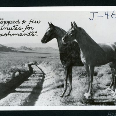 Print, Photographic