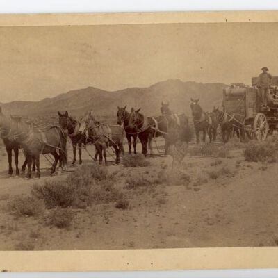 Print, Photographic