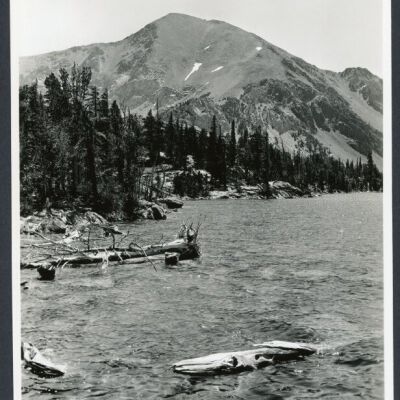 Print, Photographic