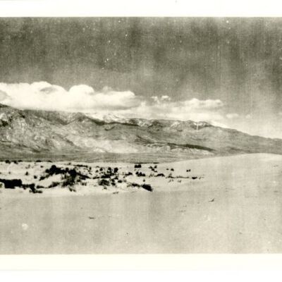 Print, Photographic