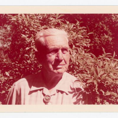 Print, Photographic