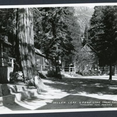 Print, Photographic