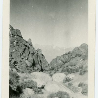 Print, Photographic