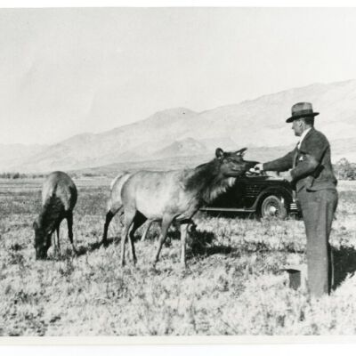 Print, Photographic