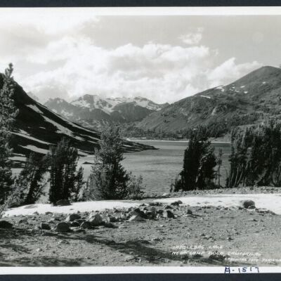 Print, Photographic