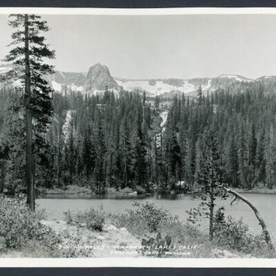 Print, Photographic
