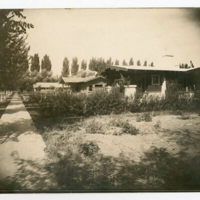 Print, Photographic