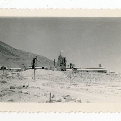 Print, Photographic