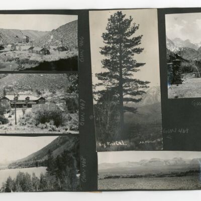 Print, Photographic