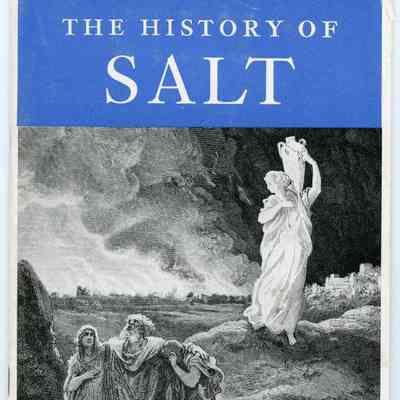 History of Salt