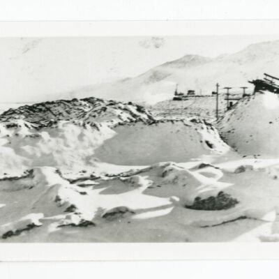 Print, Photographic