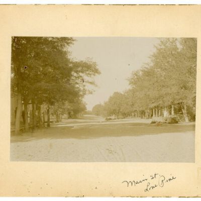 Print, Photographic