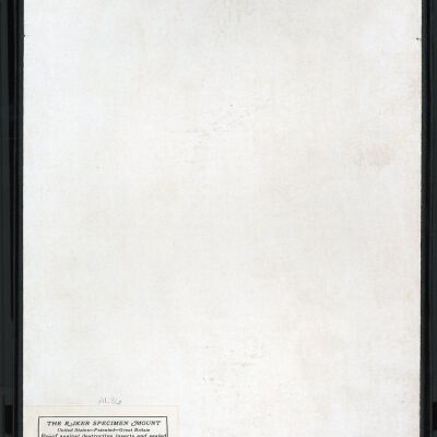 Resolution: 100 dpi