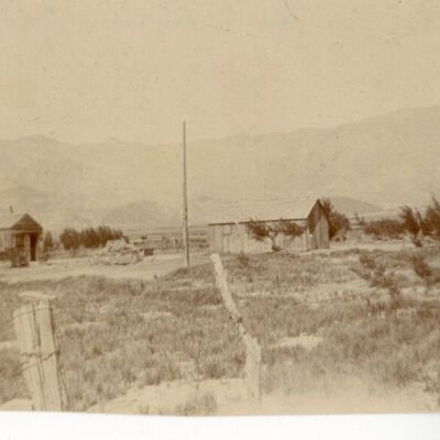Print, Photographic