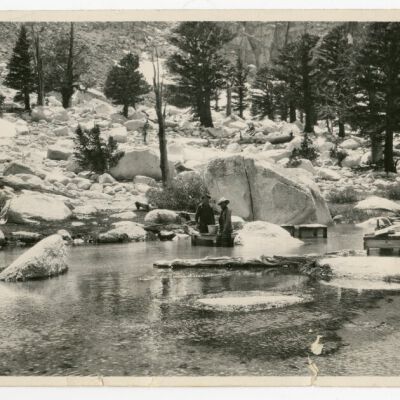 Print, Photographic