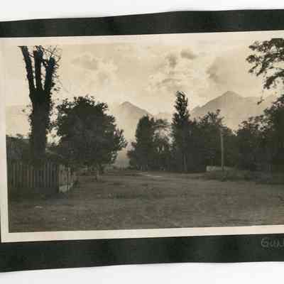 Print, Photographic