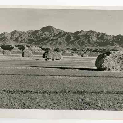 Print, Photographic