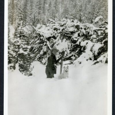 Print, Photographic