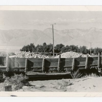 Print, Photographic