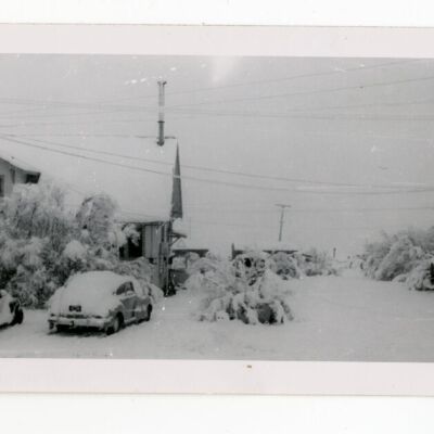 Print, Photographic