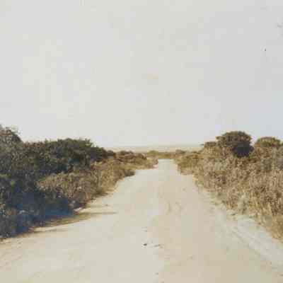 The road to Montauk Point Lighthouse, c. 1920s | Montauk Library Archives