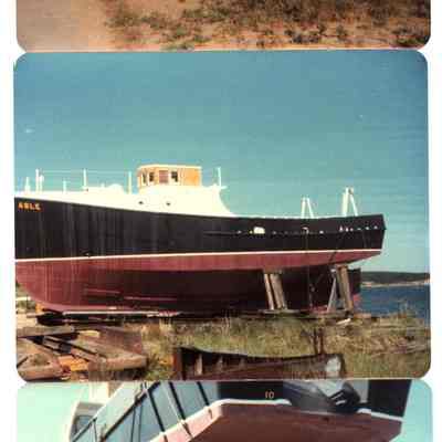 John Steck building Able, c. 1950s | John "Skip" Kelsey Digital Collection, Montauk Library Archives