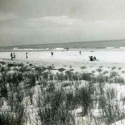 McLaughlin Family Digital Collection