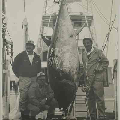 978 lb Tuna, Atlantic Record, 1977