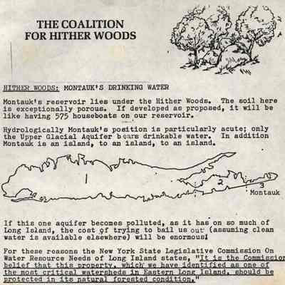 Charlene Briand Papers