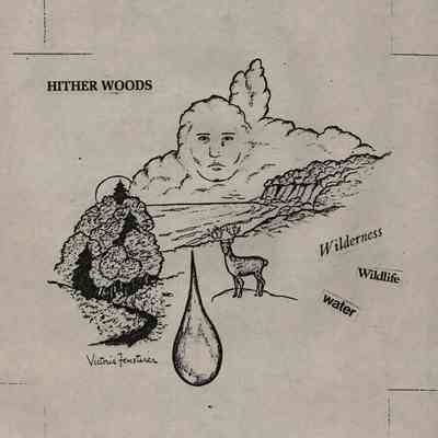 Campaign for the preservation of Hither Woods, 1982 | Charlene Briand papers, Montauk Library Archives