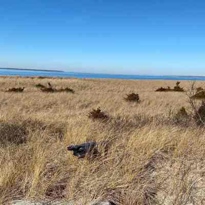 Napeague State Park, Montauk, New York