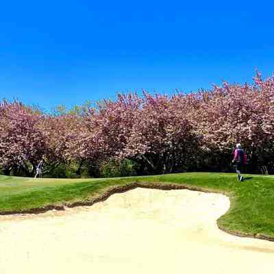 Montauk Downs State Park, Montauk, New York