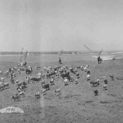 Deep Hollow Ranch, 1940 | Montauk Library Archives