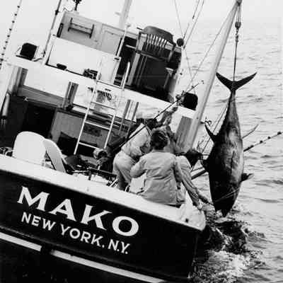 Bringing Tuna Aboard the Mako, c. 1960s | Bill Akin Collection, Montauk Library Archives