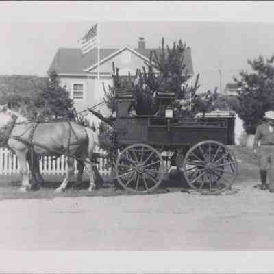 Rodeo at Deep Hollow Ranch, 1950s