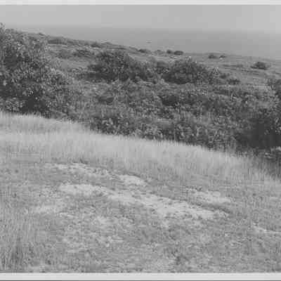 Hither Hills | Ken and Loretta Weldon Collection, Montauk Library Archives