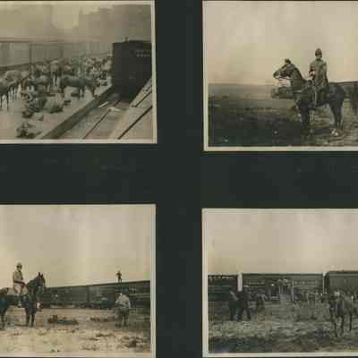 [Album of Cavalry Training and Maneuvers of the 1st Cavalry, New York National Guard, Prior to World War I].