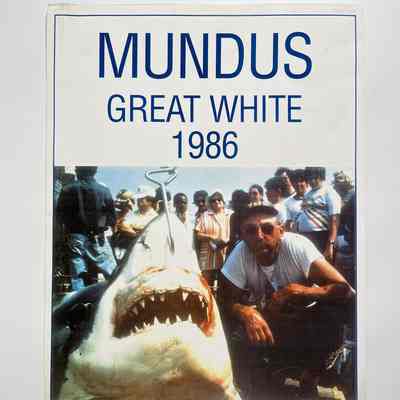 Frank Mundus Great White, 1986