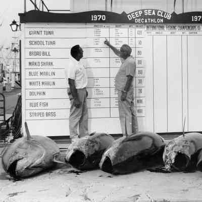 Judy and Bob Darenberg Photograph Collection