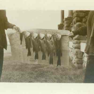 Catch of the Day, Montauk Point, early 1900s